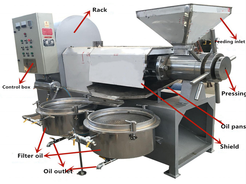 كيفية استخراج زيت النخيل باستخدام آلة استخراج زيت نواة النخيل | بيع مصنع آلة خط